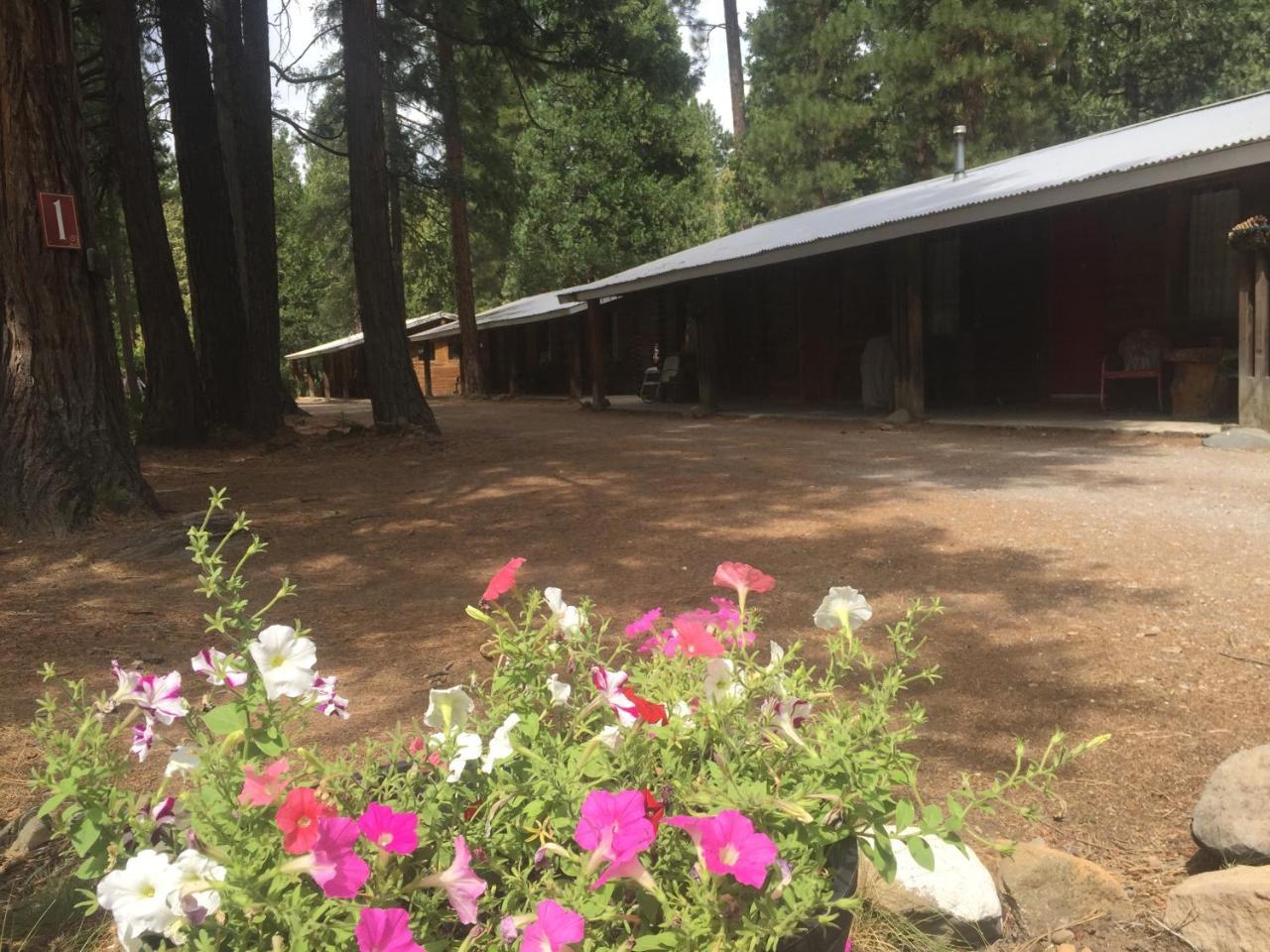 Sierra Sky Lodge Sloat Εξωτερικό φωτογραφία